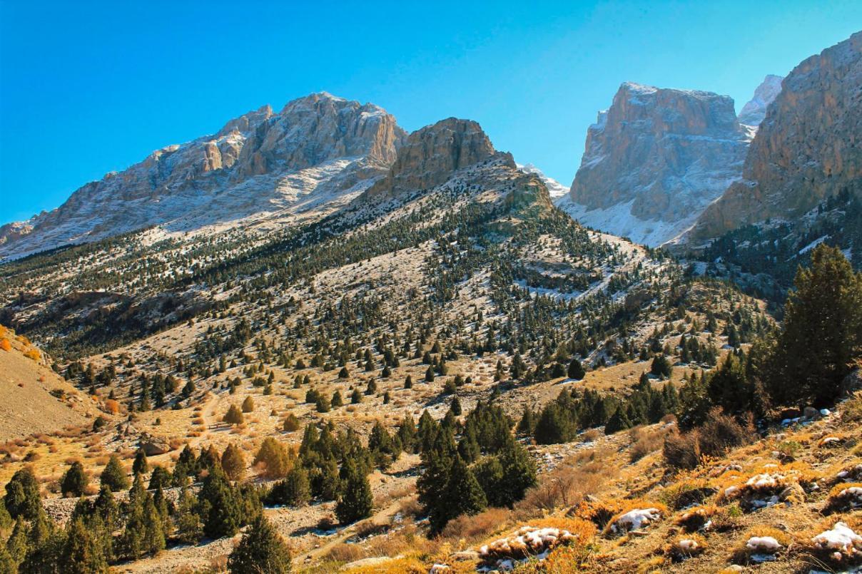Aladaglar Mountain Hostel Cukurbag  Zewnętrze zdjęcie