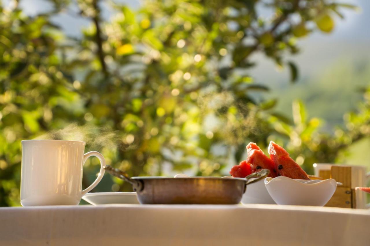 Aladaglar Mountain Hostel Cukurbag  Zewnętrze zdjęcie